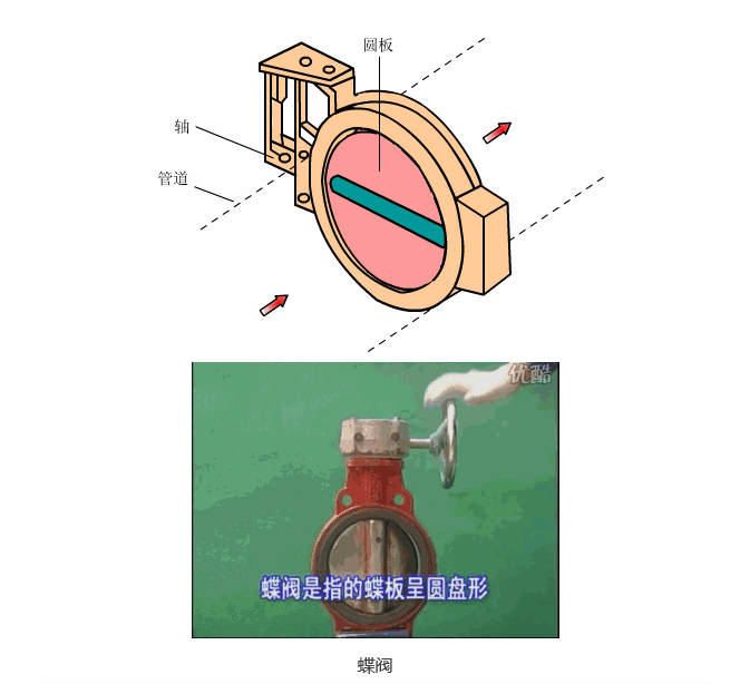 SFDHS D.png